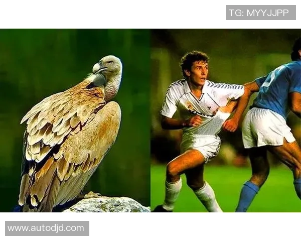 现役足球明星外号全解析及其背后故事大揭秘